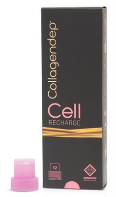 COLLAGENDEP CELL RECHARG